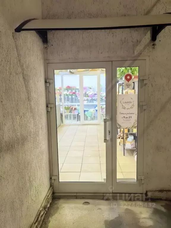 Помещение свободного назначения в Курская область, Курск ... - Фото 1