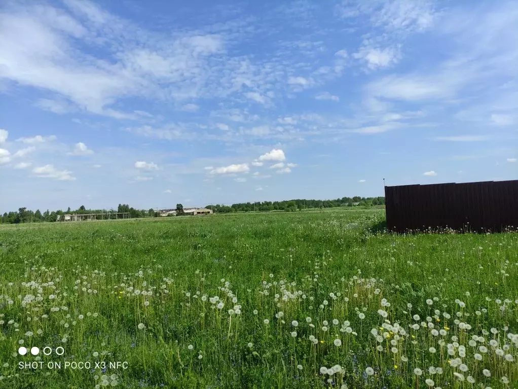 Участок в Владимирская область, Карабаново Александровский район,  ... - Фото 1