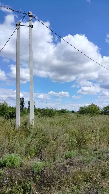 Участок в Саратовская область, с. Михайловка ул. Садовая (13.0 сот.) - Фото 1