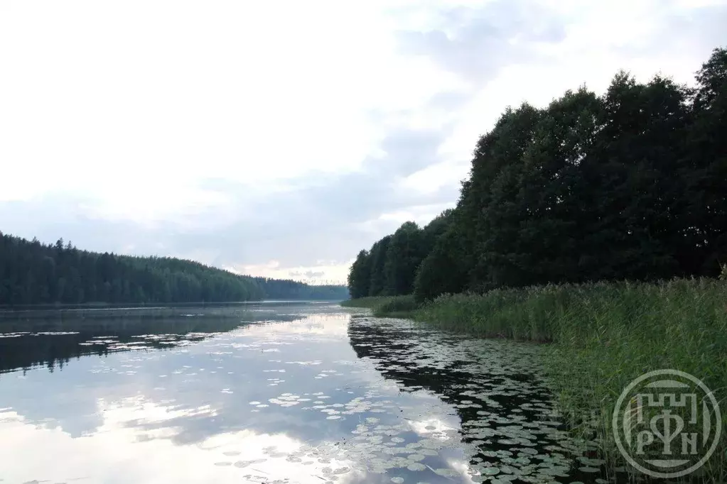 Участок в Ленинградская область, Выборгский район, Каменногорское ... - Фото 1