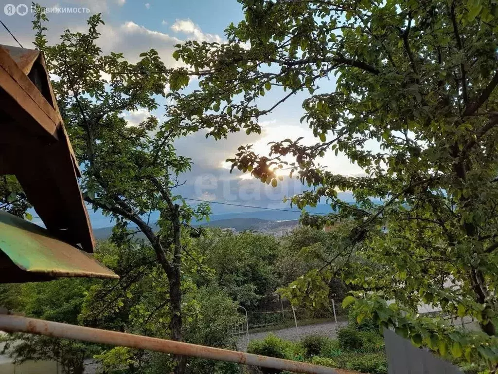 Участок в Миасс, СНТ Урал-2 (3.4 м) - Фото 2