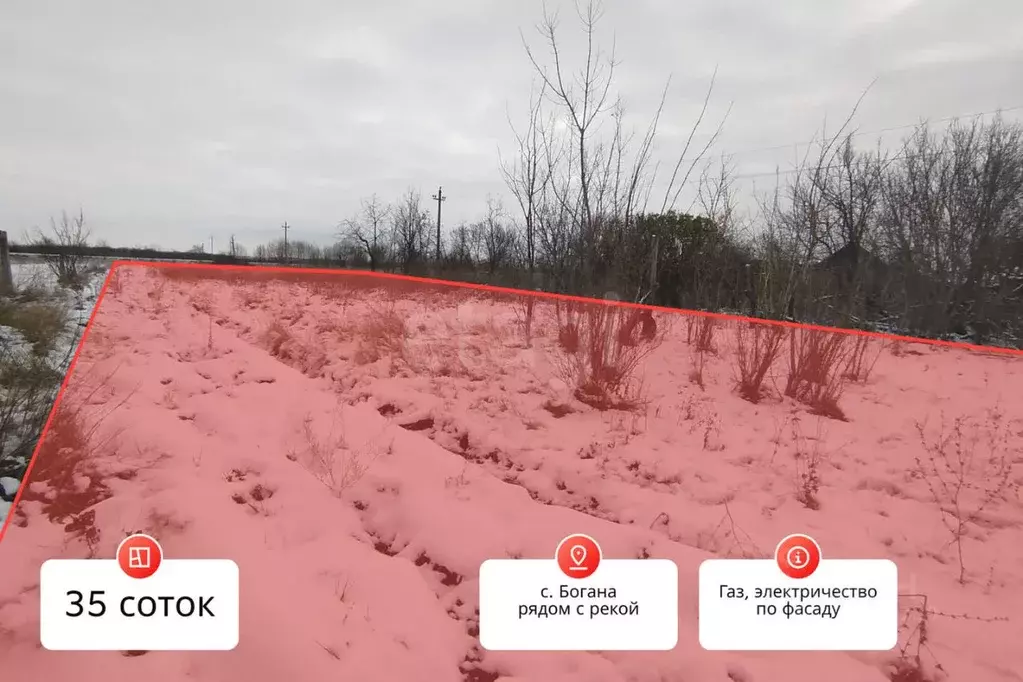 Участок в Воронежская область, Борисоглебский городской округ, с. ... - Фото 1