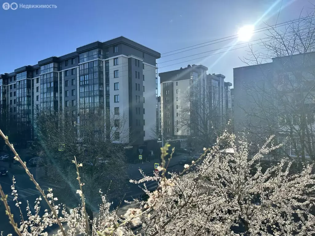 2-комнатная квартира: Калининград, улица Космонавта Леонова, 58 (43 м) - Фото 0