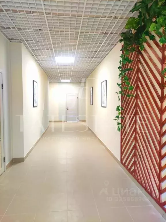 Офис в Татарстан, Казань ул. Восстания, 80А (55 м) - Фото 2