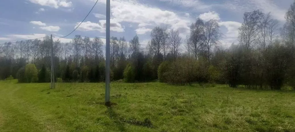 Участок в Пермский край, Пермский муниципальный округ, с. Бершеть ... - Фото 1