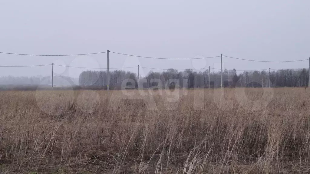 Участок 5 сот. (ИЖС) - Фото 0