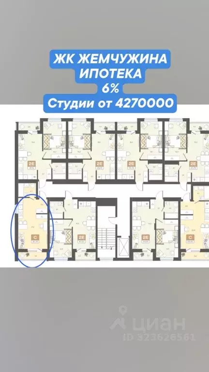 Студия Белгородская область, Белгород Юго-Западный-2.2 мкр,  (30.7 м) - Фото 2