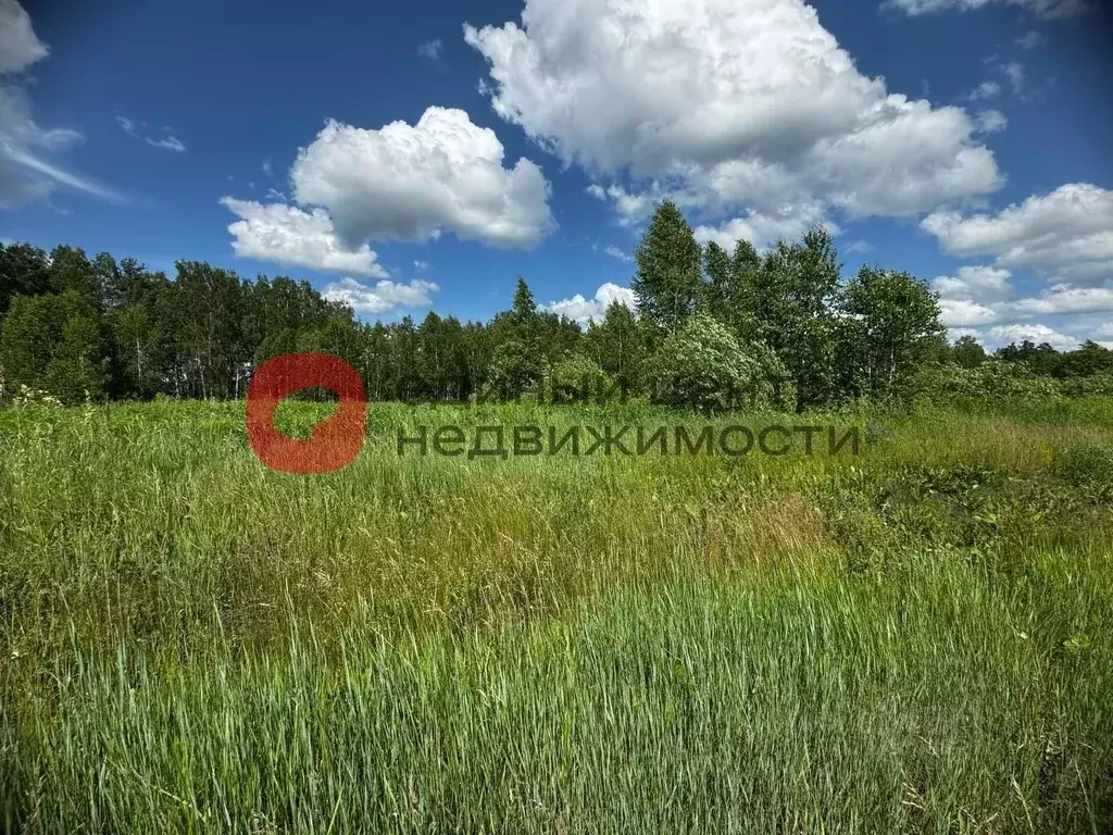 Участок в Тюменская область, Нижнетавдинский район, Геолог-2 СНТ 5-я ... - Фото 0