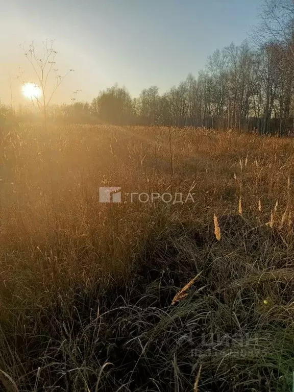 Участок в Новосибирская область, Новосибирск Красный просп. (8.8 сот.) - Фото 0