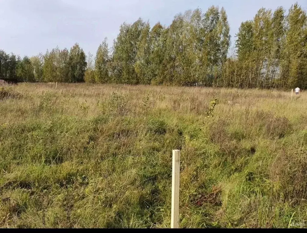 Участок в Московская область, Балашиха Курганная ул., 18 (6.0 сот.) - Фото 1