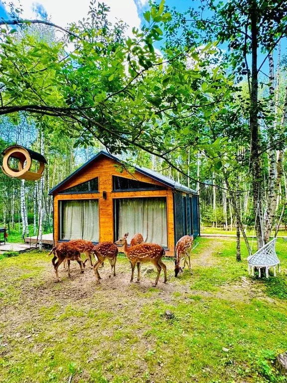 Дом в Московская область, Волоколамский муниципальный округ, Тихая ... - Фото 1