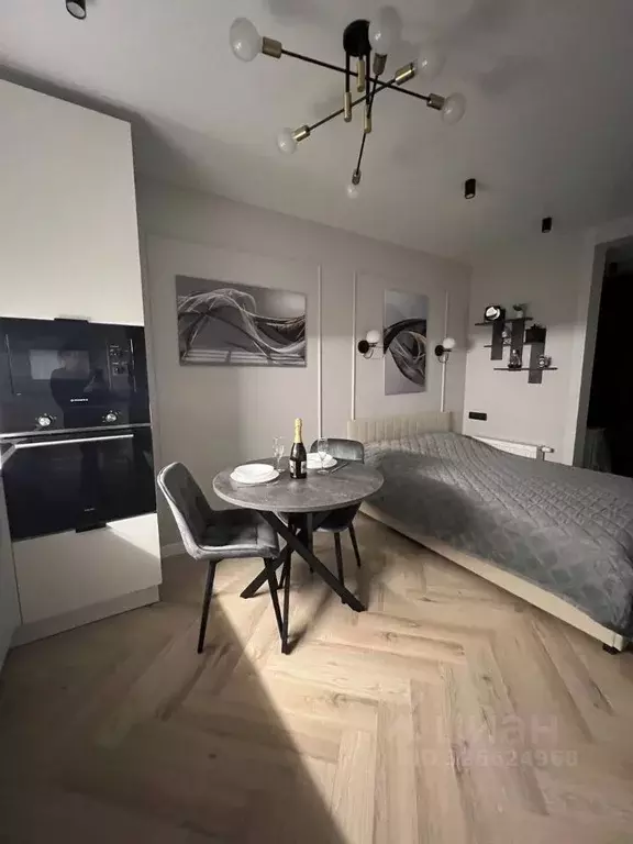 Студия Санкт-Петербург пос. Шушары, просп. Новгородский, 2к3 (25.0 м) - Фото 2