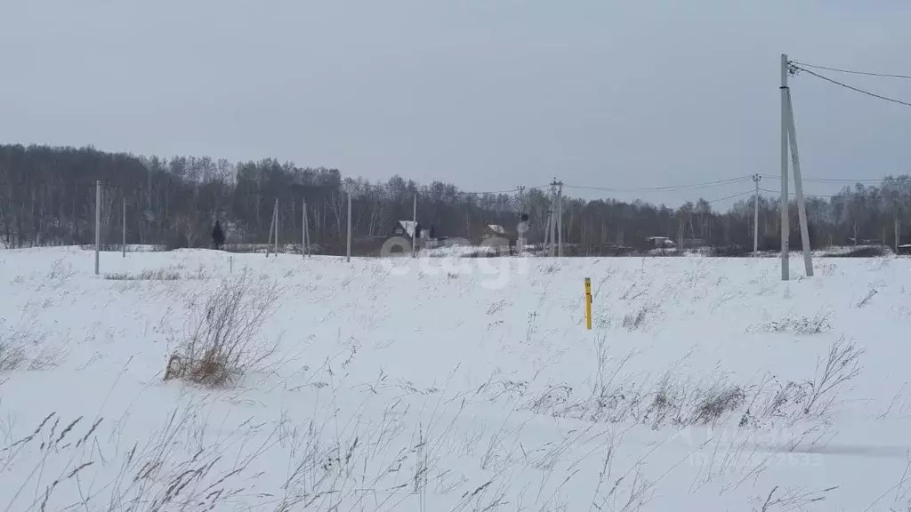 Участок в Кемеровская область, Кемеровский муниципальный округ, пос. ... - Фото 0