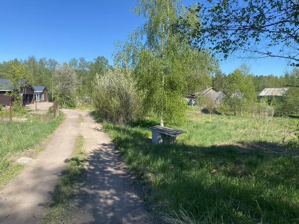 Участок в Ленинградская область, Выборгский район, Советское городское ... - Фото 1