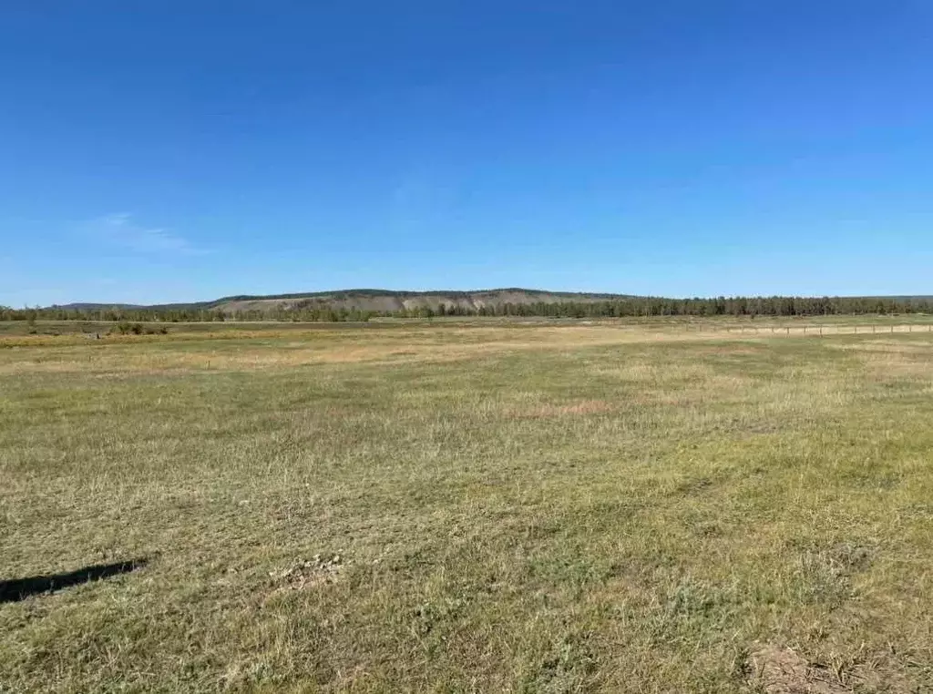 Участок в Саха (Якутия), Якутск городской округ, с. Владимировка ул. ... - Фото 1