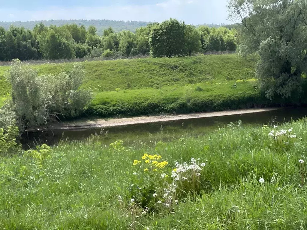 Участок в Московская область, Раменский городской округ, Пахра Ривер ... - Фото 1