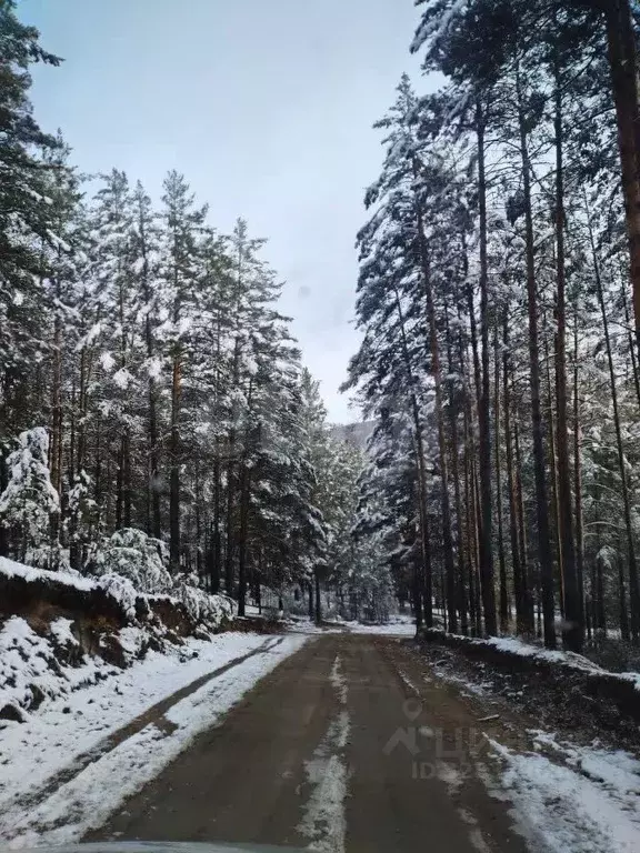 Участок в Забайкальский край, Читинский район, № 54 Радуга СНТ 32 ... - Фото 1