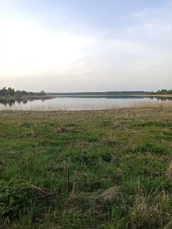 Участок в Тверская область, Осташковский муниципальный округ, д. ... - Фото 0