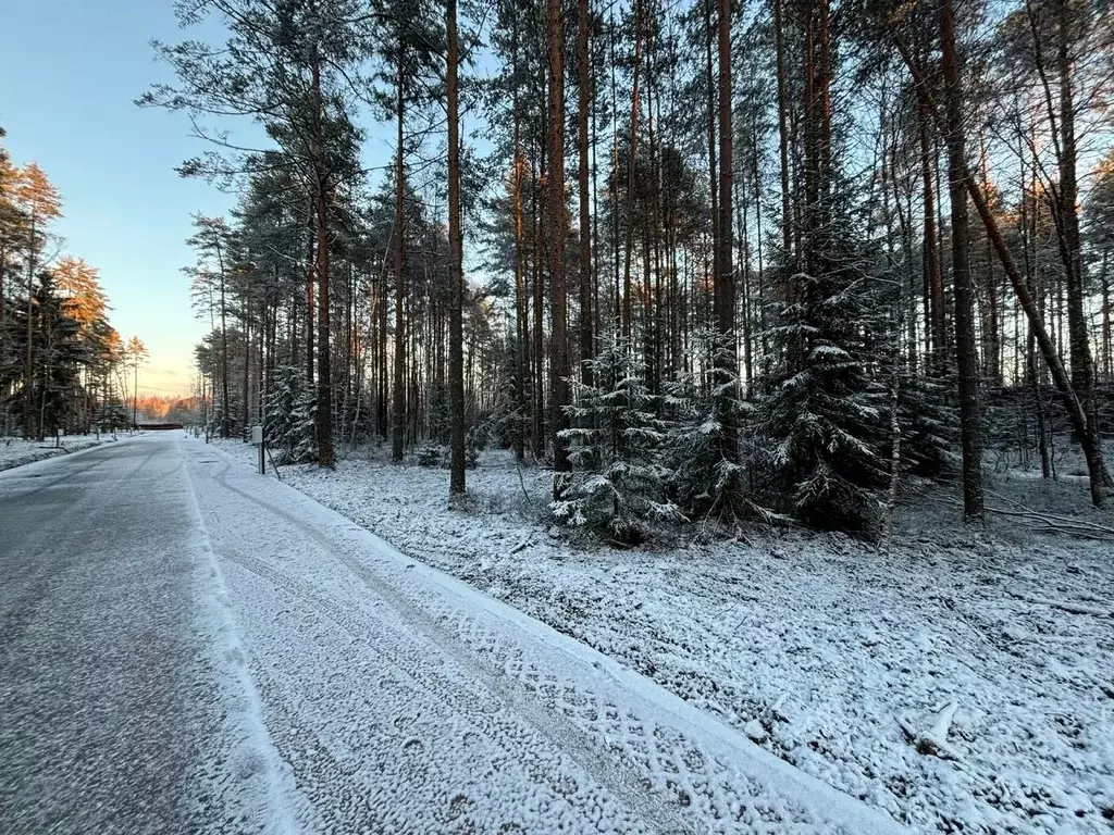 Участок в Ленинградская область, Всеволожский район, Бугровское ... - Фото 1