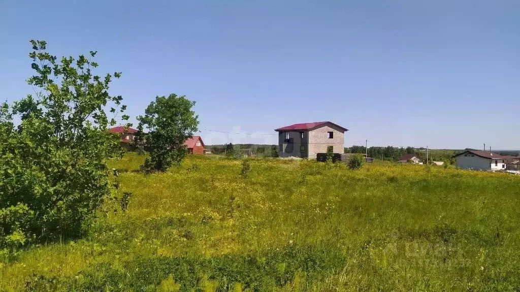 Участок в Вологодская область, Великоустюгский муниципальный округ, д. ... - Фото 1