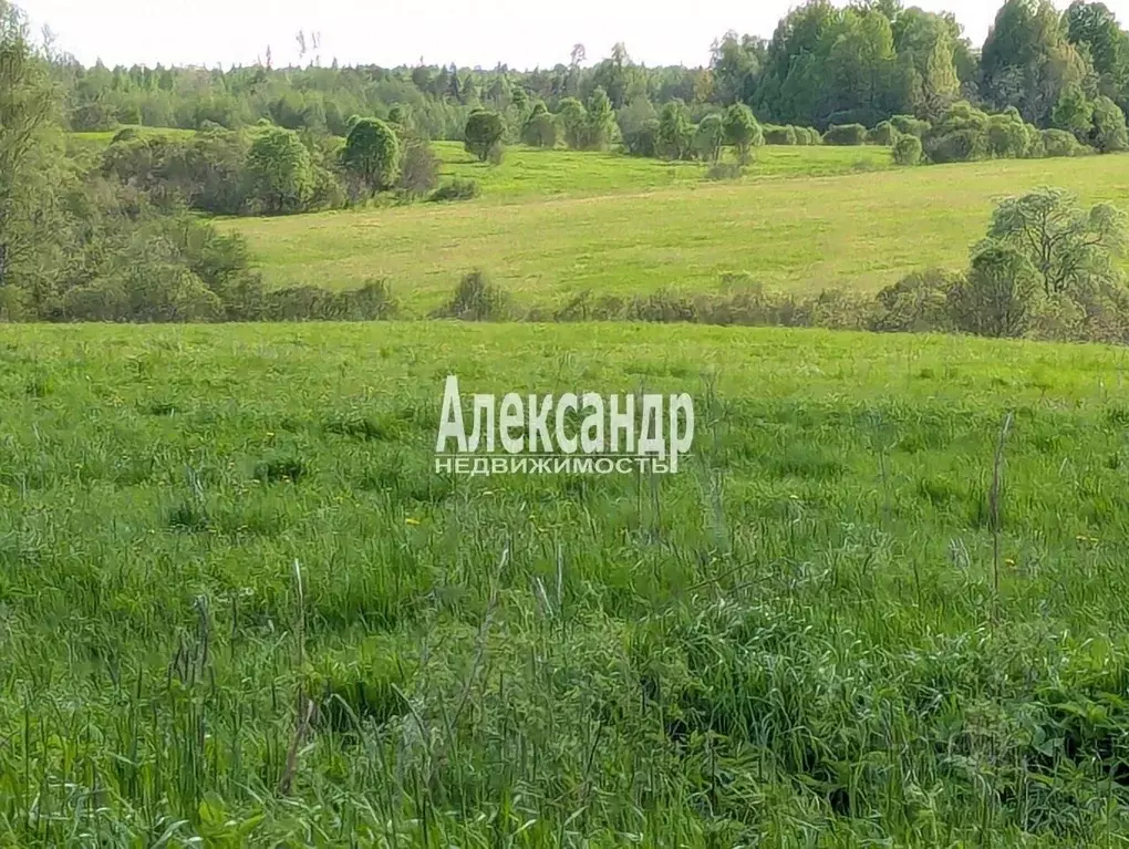 Участок в Карелия, Лахденпохский муниципальный округ, пос. Ханканмяки  ... - Фото 0