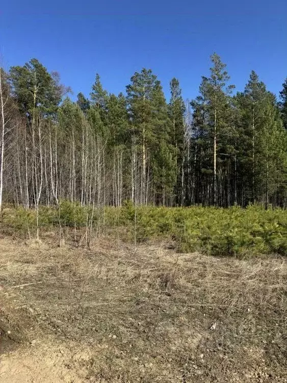 Участок в Иркутская область, Иркутский муниципальный округ, д. ... - Фото 0