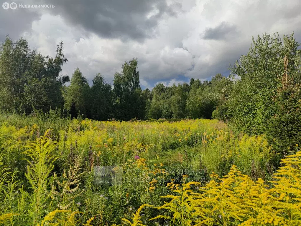 Участок в Химки, микрорайон Новогорск, жилой комплекс Олимпийская ... - Фото 1