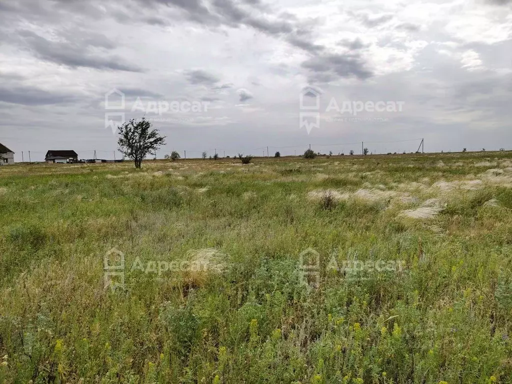 Участок в Волгоградская область, Волгоград ул. Краснодарская (8.0 ... - Фото 1