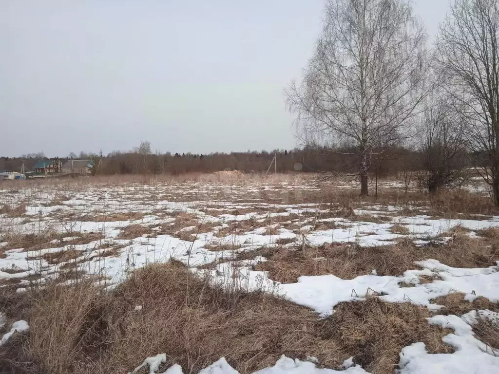Дом в Вологодская область, Грязовецкий муниципальный округ, д. Палкино ... - Фото 1