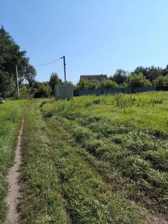 Участок в Воронежская область, Верхнехавский район, с. Малая ... - Фото 2