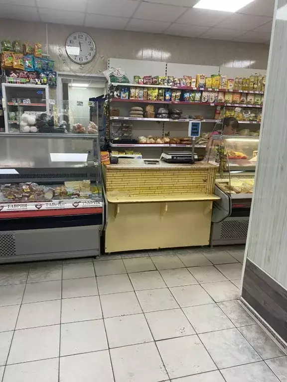 Торговая площадь в Челябинская область, Коркино ул. Пушкова, 4 (109 м) - Фото 2