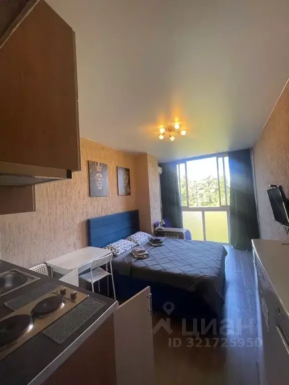 Студия Краснодарский край, Сочи Курортный просп., 75к1 (21.0 м) - Фото 0