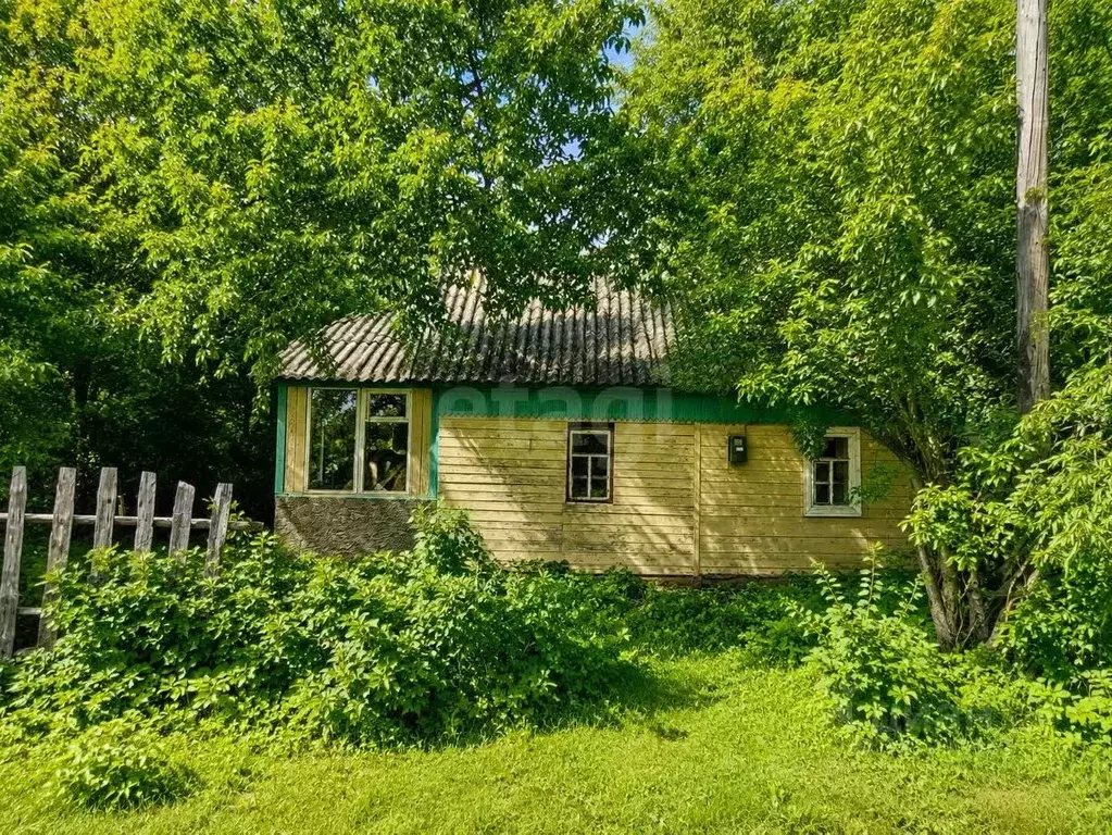 Дом в Тамбовская область, Знаменский муниципальный округ, с. Сухотинка ... - Фото 1