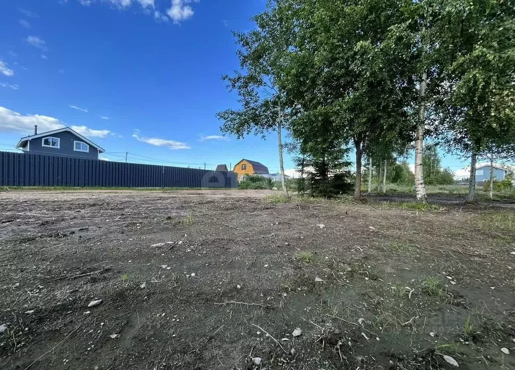 Участок в Ленинградская область, Выборгский район, Рощинское городское ... - Фото 2