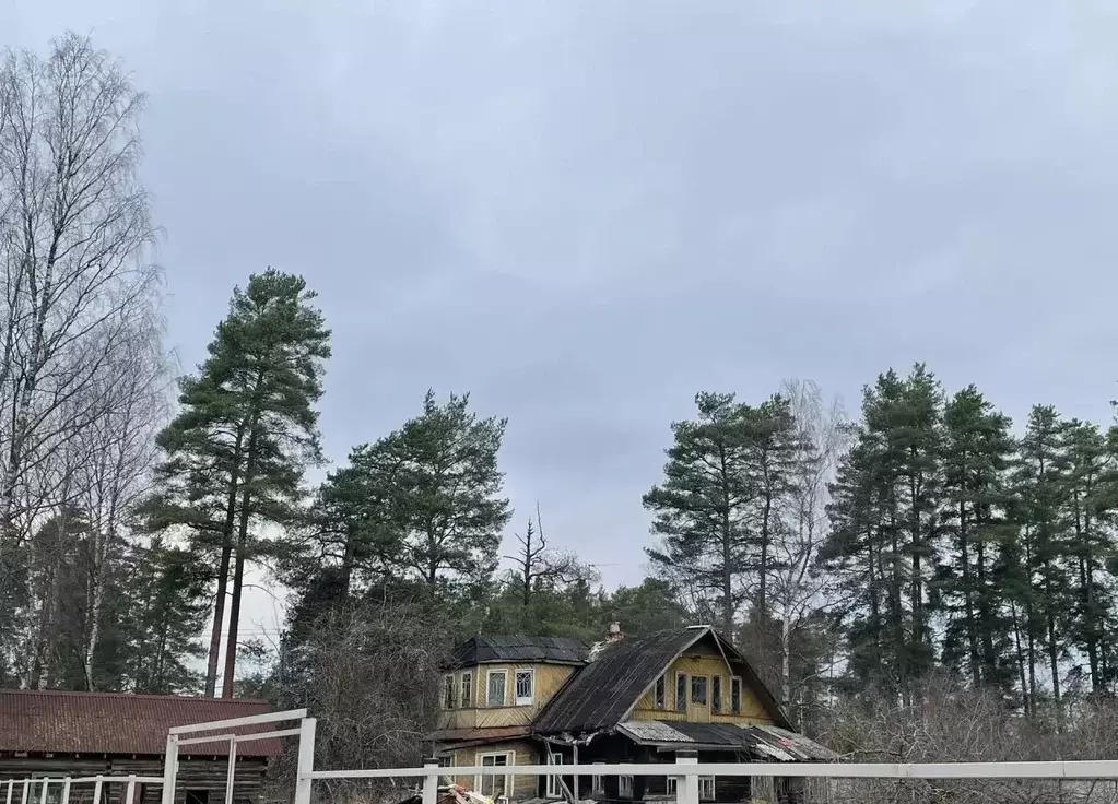 Участок в Ленинградская область, Гатчинский муниципальный округ, ... - Фото 1