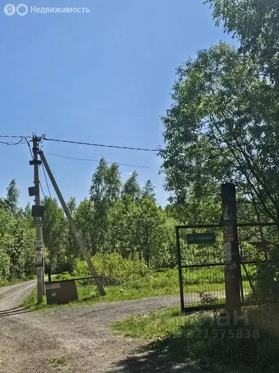 Участок в Московская область, Егорьевск муниципальный округ, д. Песье ... - Фото 0