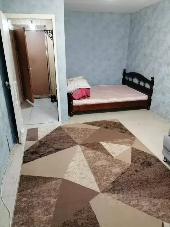 1-к кв. Нижегородская область, Арзамас городской округ, с. Чернуха  ... - Фото 2