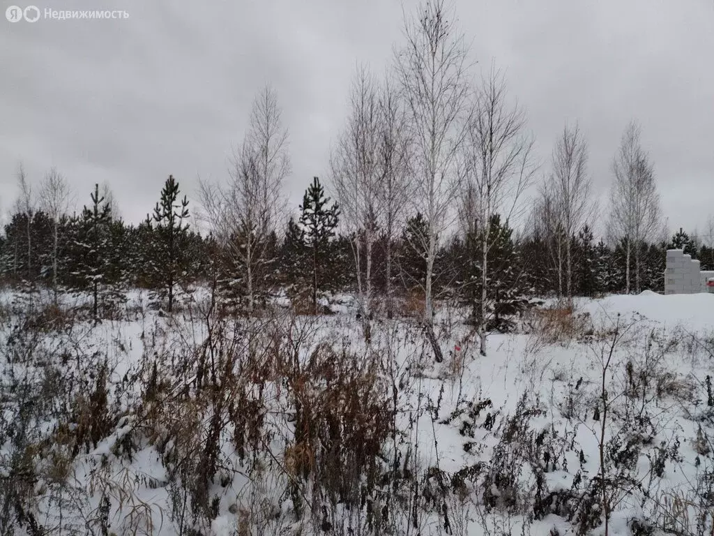 Участок в Свердловская область, Екатеринбург (7 м) - Фото 1