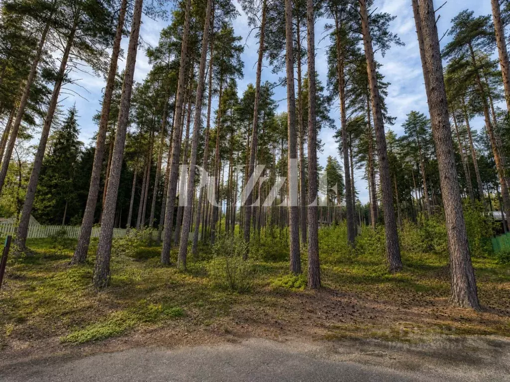 Участок в Санкт-Петербург, Санкт-Петербург, Зеленогорск  (37.84 сот.) - Фото 2