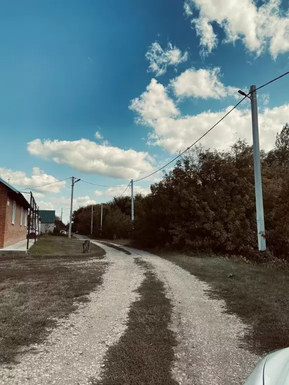 Участок в Самарская область, Нефтегорский район, с. Утевка Береговая ... - Фото 2