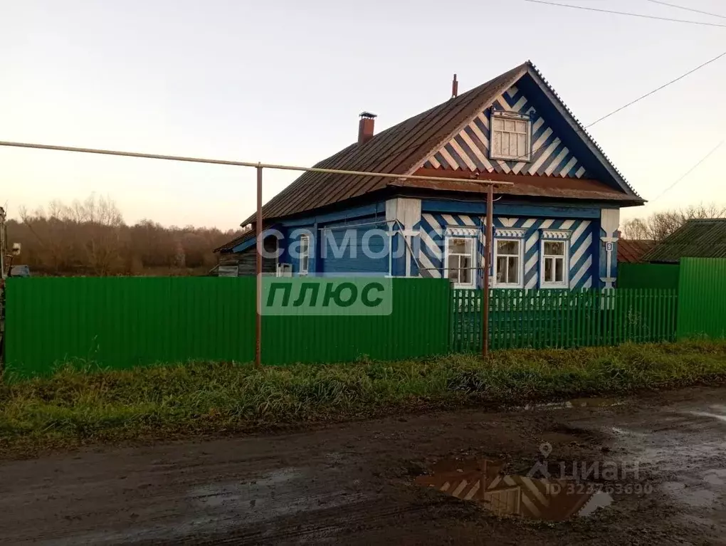 Дом в Марий Эл, Параньгинский район, д. Портянур Набережная ул., 9 (46 ... - Фото 1