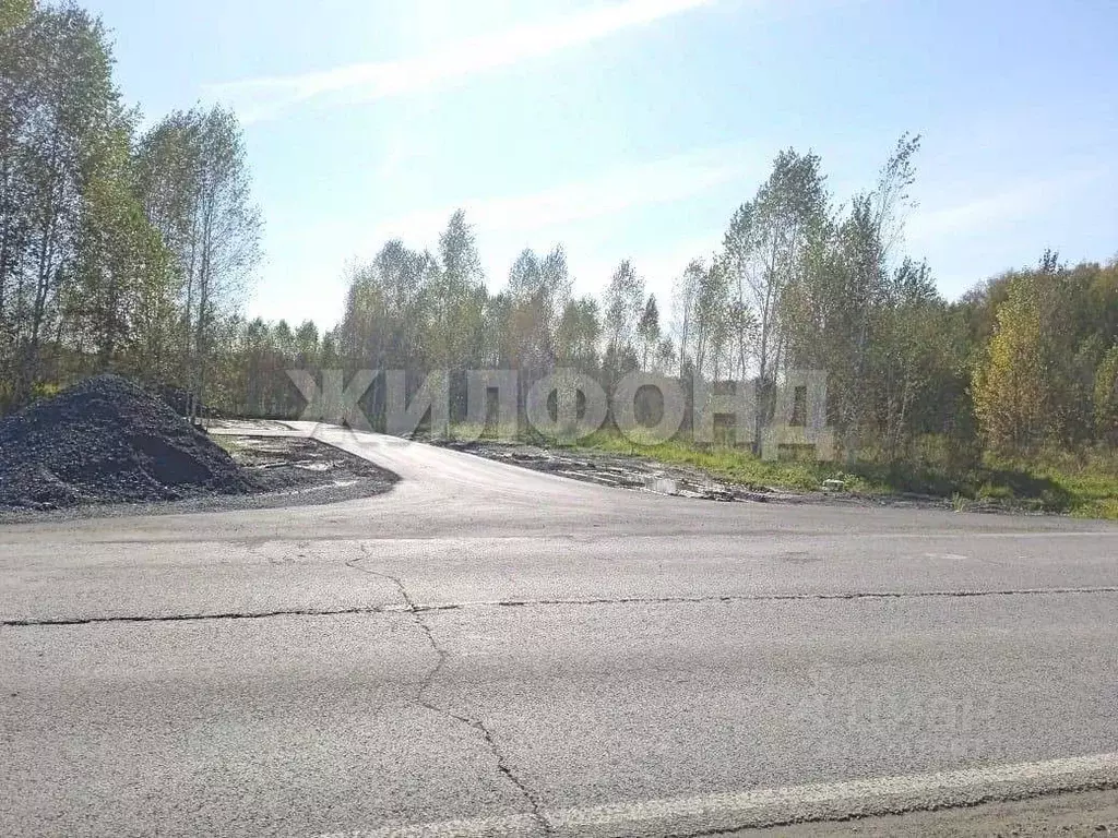 Участок в Новосибирская область, Новосибирский район, Барышевский ... - Фото 1