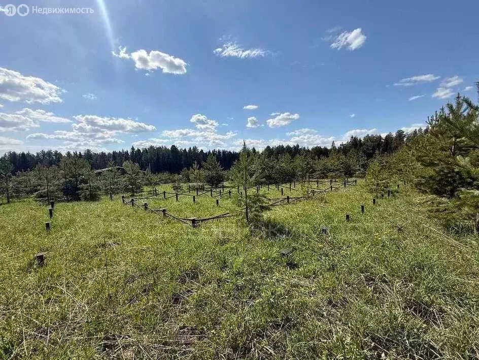 Участок в Кировская область, Слободской муниципальный район, Ленинское ... - Фото 1