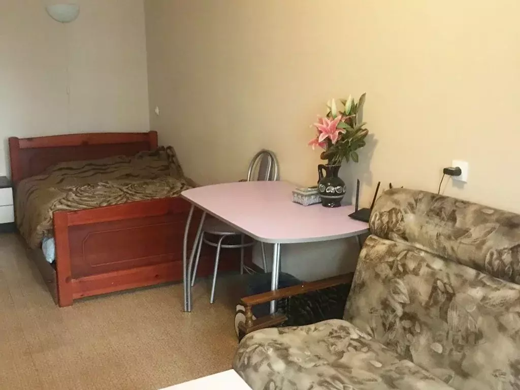 1-к кв. Московская область, Пушкинский городской округ, пос. ... - Фото 2