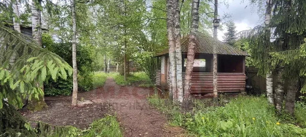 Участок в Ленинградская область, Гатчинский район, Тайцы садоводческий ... - Фото 1