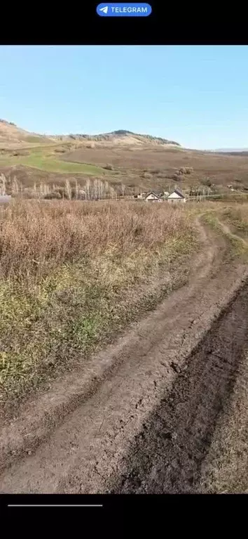 Участок в Алтай, Майминский район, с. Верх-Карагуж  (10.0 сот.) - Фото 1