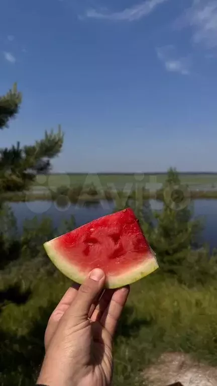 Участок 6 сот. (ИЖС) - Фото 0