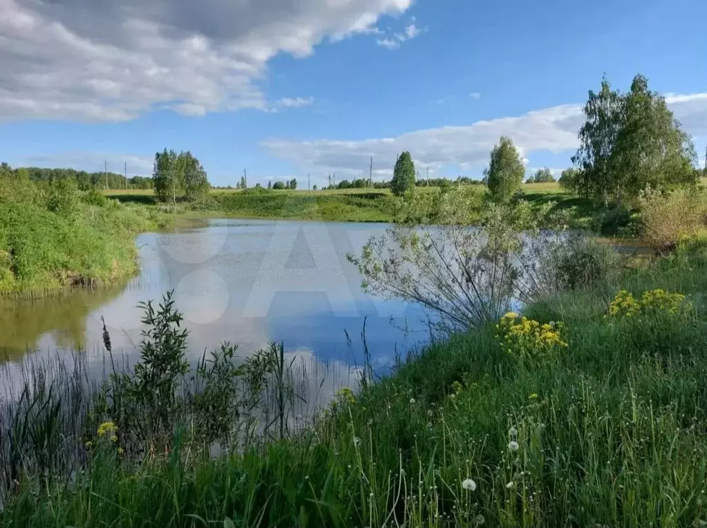Участок 3,01 га (СНТ, ДНП) - Фото 0