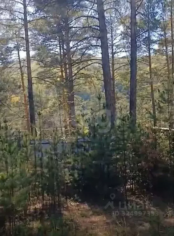 Участок в Забайкальский край, Читинский район, Атамановка пгт, Отдых ... - Фото 1