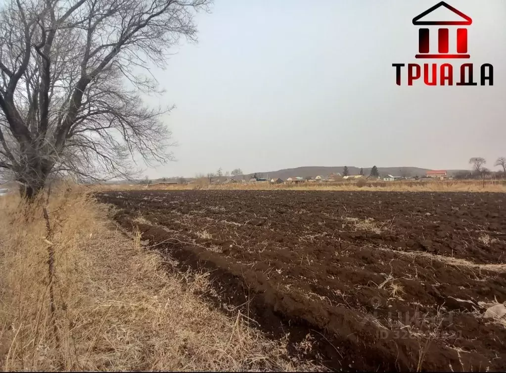 Участок в Приморский край, Уссурийский городской округ, с. Кроуновка  ... - Фото 1